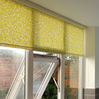Roller Blinds in Kitchen Windows